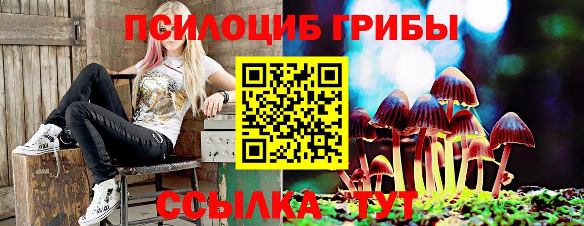 Галлюциногенные грибы Psilocybine cubensis Кинешма