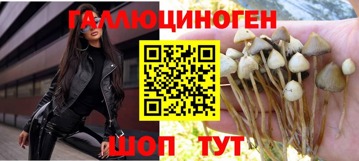 Кинешма  Галлюциногенные грибы мухоморы  Вход с VPN 
